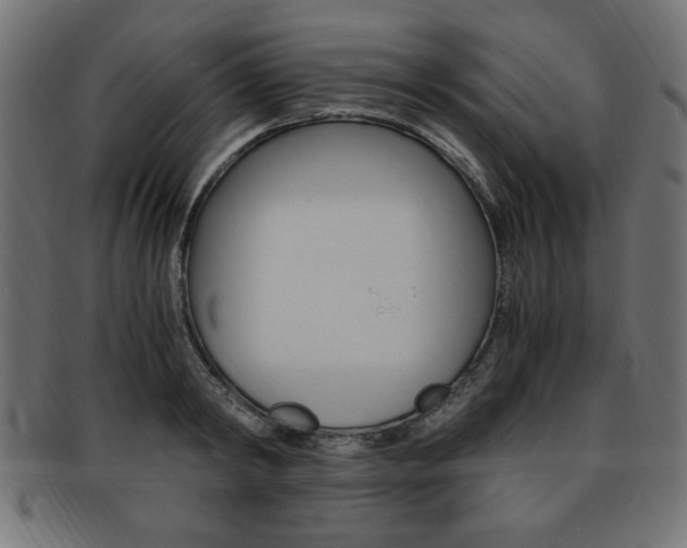 X0000094080798200710190916