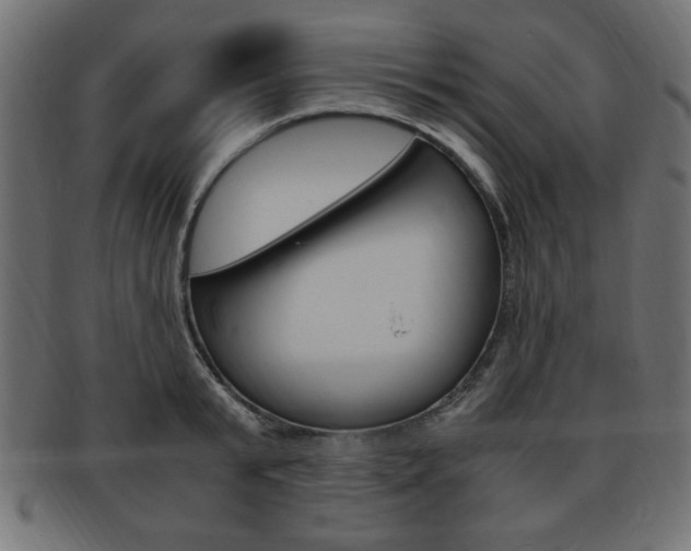 X0000094080799200710190916