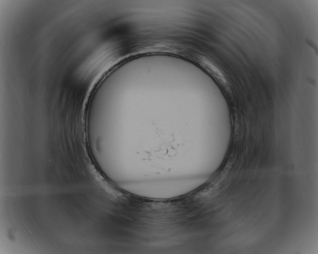 X0000094080800200710190916