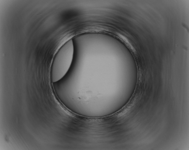 X0000094080802200710190916