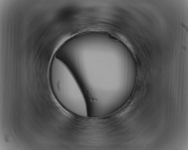 X0000094080803200710190916