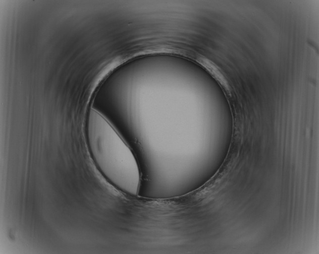 X0000094080805200710190916