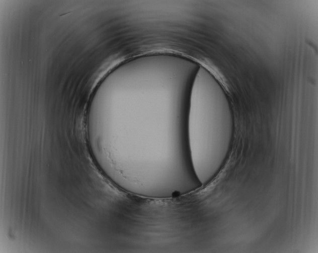 X0000094080806200710190916