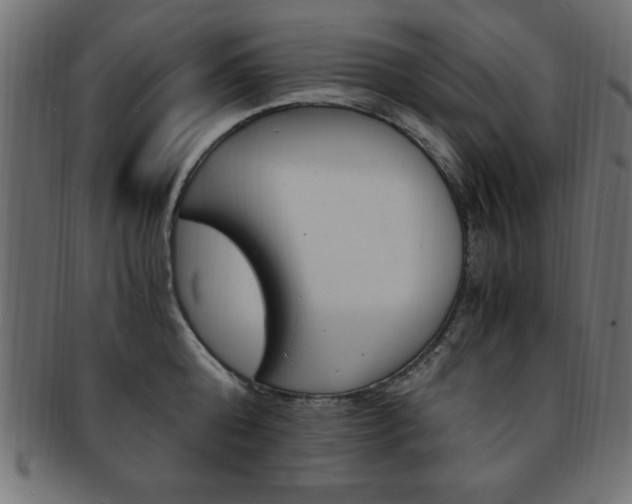 X0000094080808200710190916