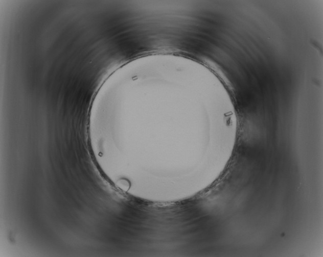 X0000094080810200710190916