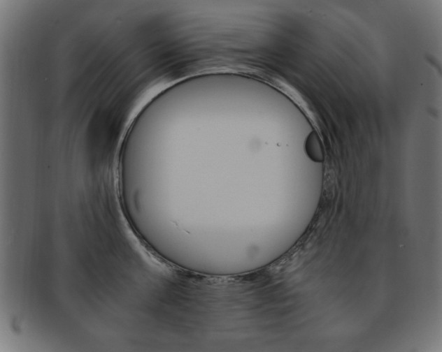 X0000094080811200710190916