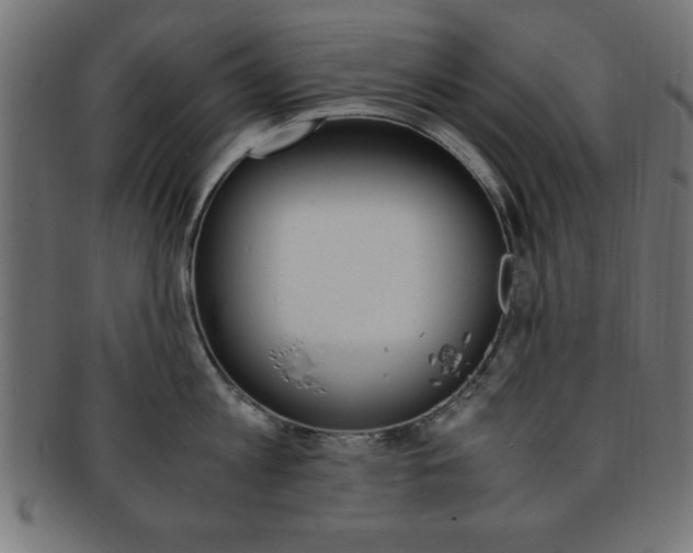 X0000094080813200710190916