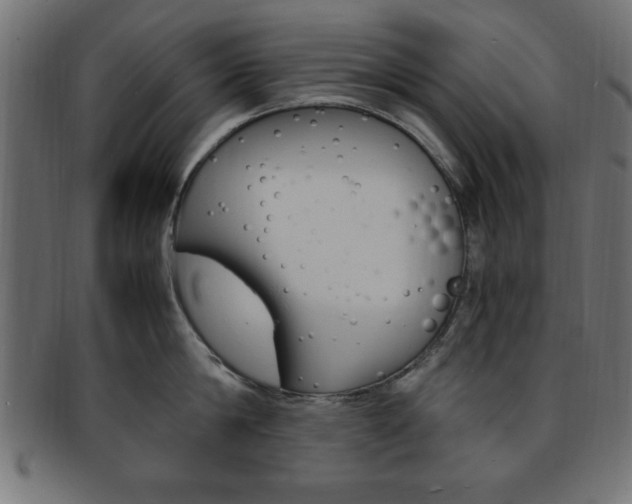 X0000094080814200710190916