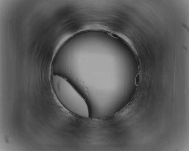 X0000094080815200710190916