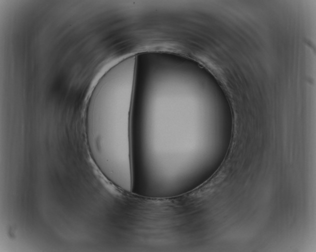 X0000094080816200710190916