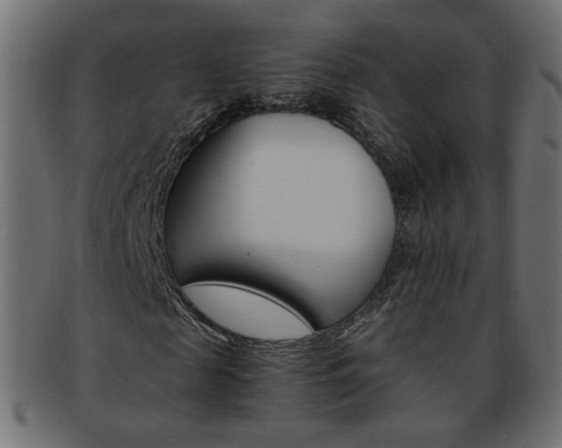X0000094080817200710190915