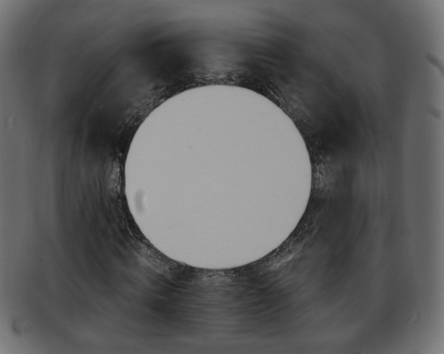 X0000094080820200710190915