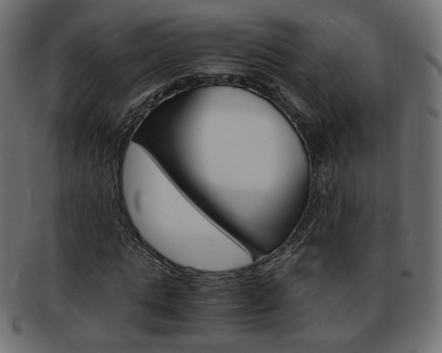 X0000094080821200710190915