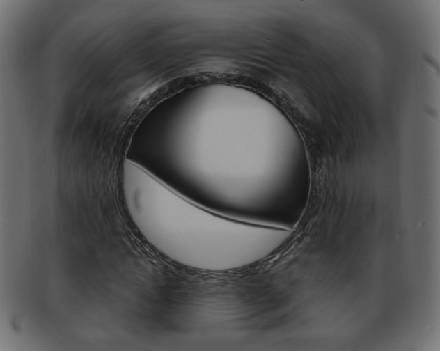 X0000094080822200710190916