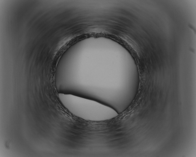 X0000094080823200710190916
