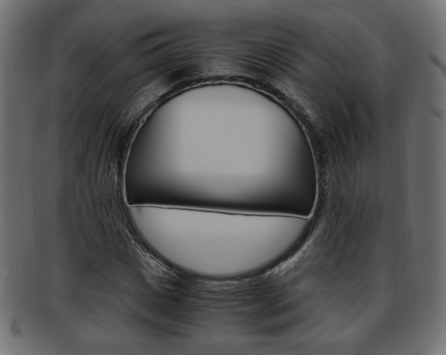 X0000094080825200710190916
