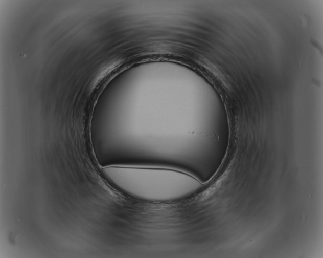 X0000094080826200710190916