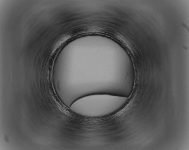 X0000094080827200710190916