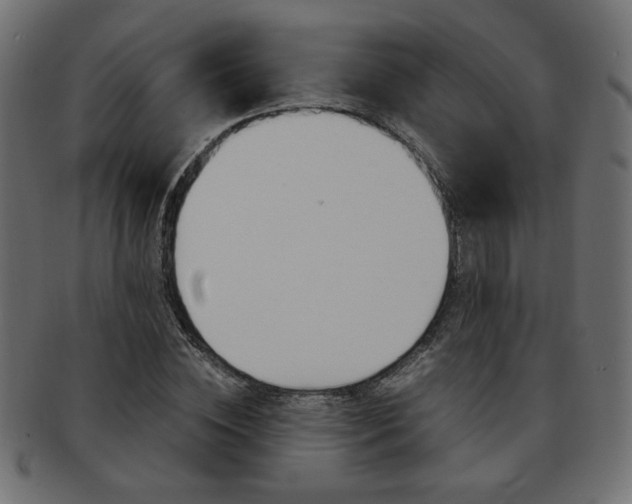 X0000094080828200710190916