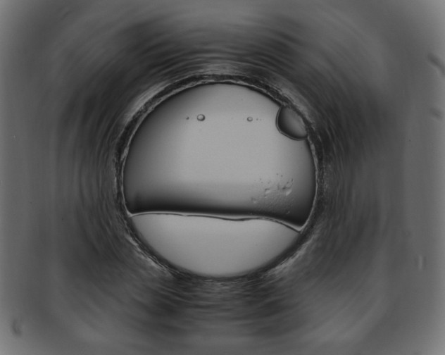 X0000094080829200710190916