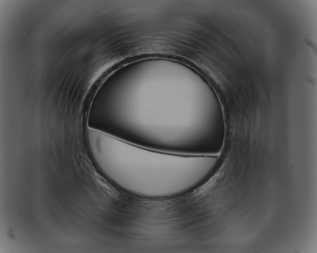 X0000094080830200710190916