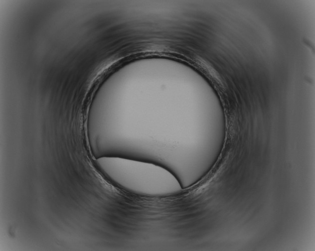 X0000094080831200710190916
