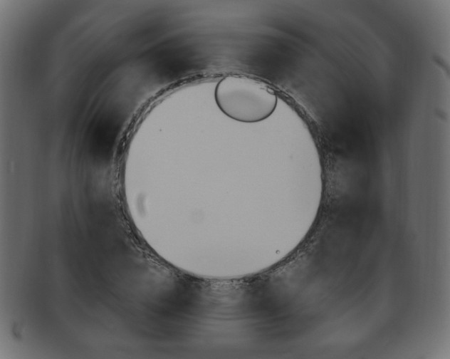 X0000094080832200710190916
