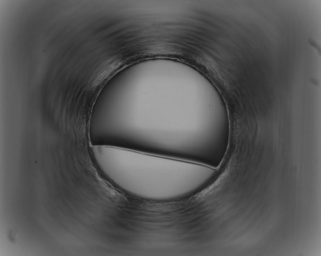 X0000094080833200710190916