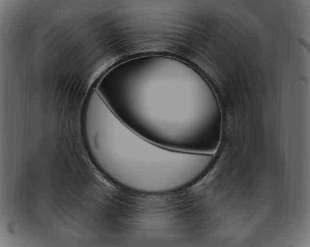 X0000094080834200710190916