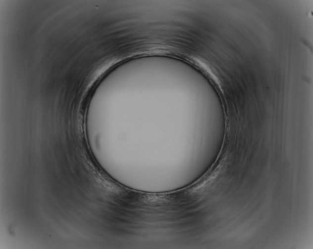 X0000094080835200710190916
