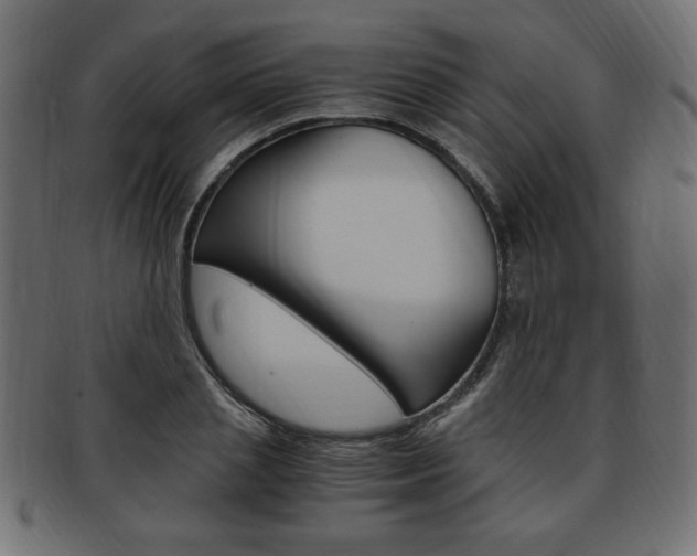 X0000094080837200710190916