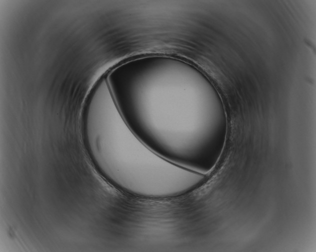 X0000094080838200710190916
