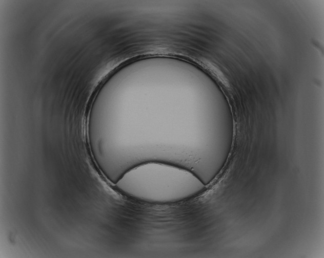 X0000094080839200710190916