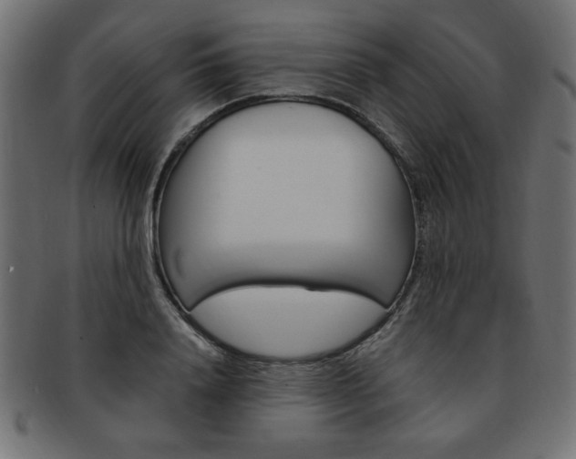 X0000094080840200710190916
