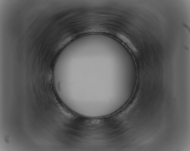 X0000094080841200710190916