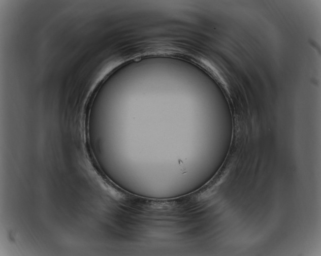 X0000094080843200710190916