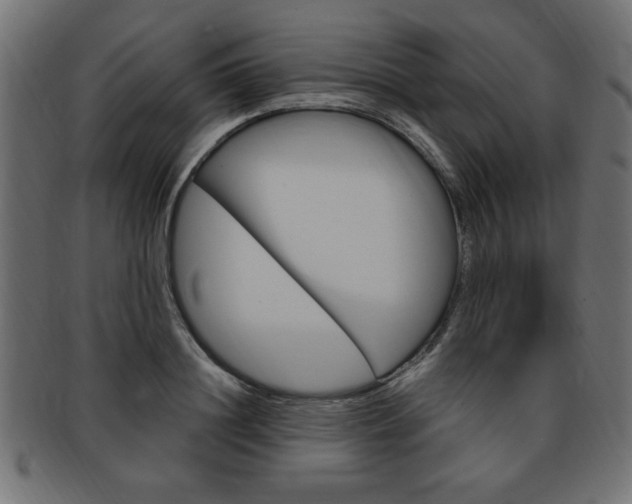 X0000094080844200710190916