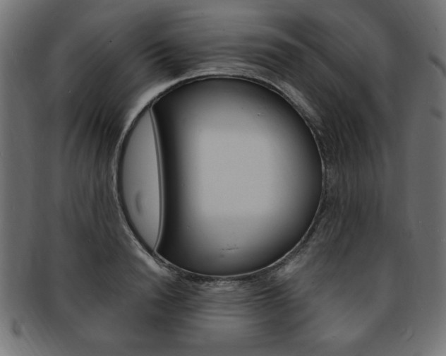 X0000094080846200710190916