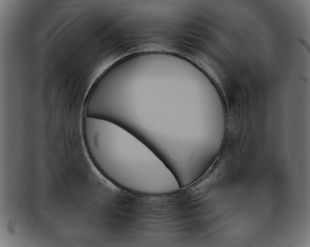 X0000094080847200710190916