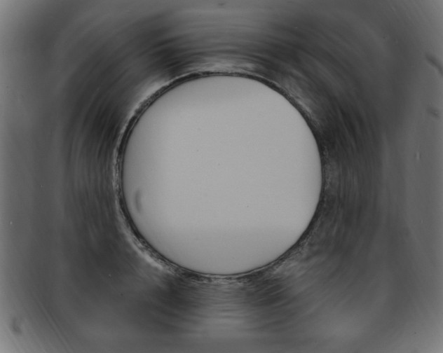 X0000094080848200710190916