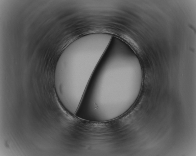 X0000094080849200710190916