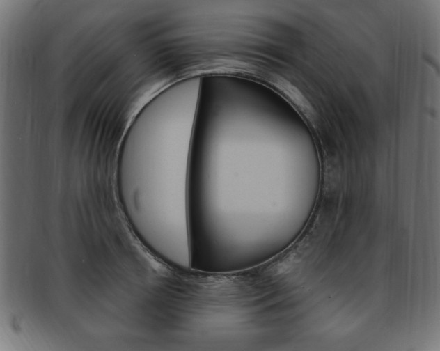 X0000094080850200710190916