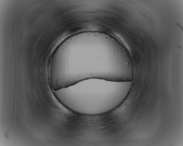 X0000094080851200710190916