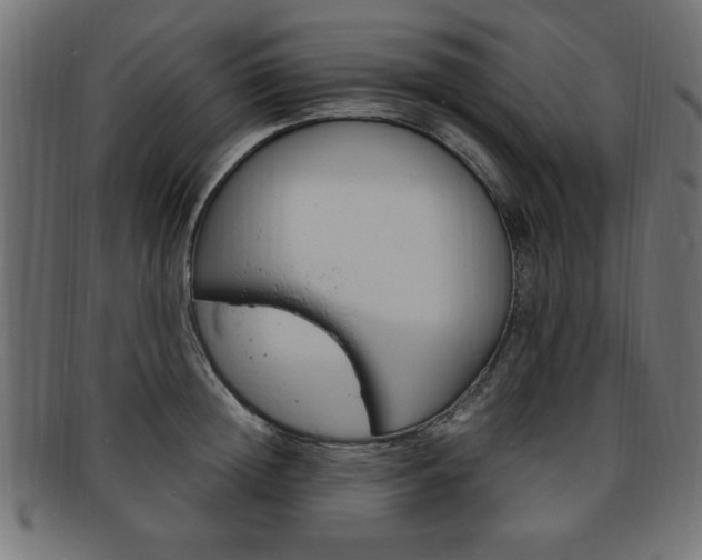 X0000094080852200710190916