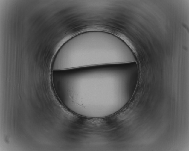 X0000094080853200710190916