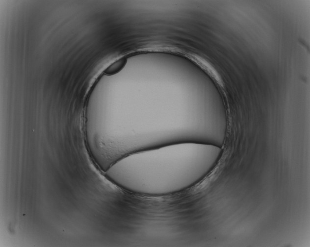 X0000094080855200710190916