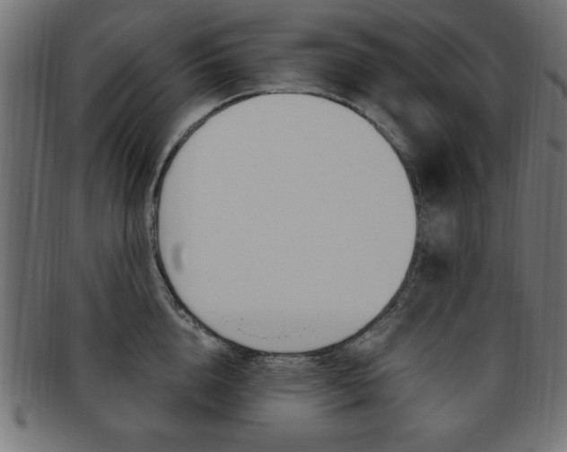 X0000094080856200710190916