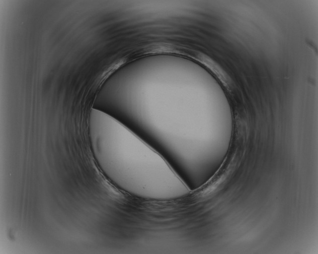 X0000094080857200710190916