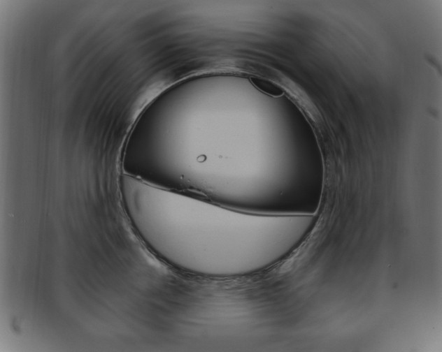 X0000094080858200710190916