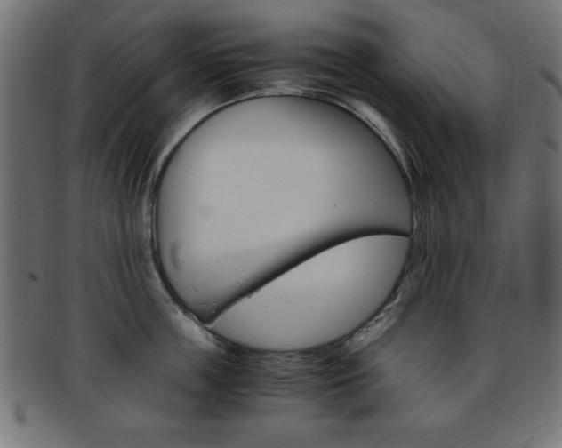 X0000094080859200710190916